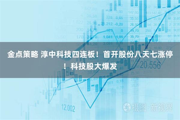 金点策略 淳中科技四连板！首开股份八天七涨停！科技股大爆发
