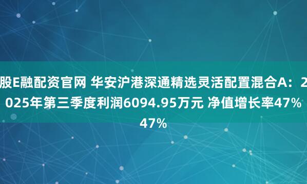 股E融配资官网 华安沪港深通精选灵活配置混合A：2025年第三季度利润6094.95万元 净值增长率47%
