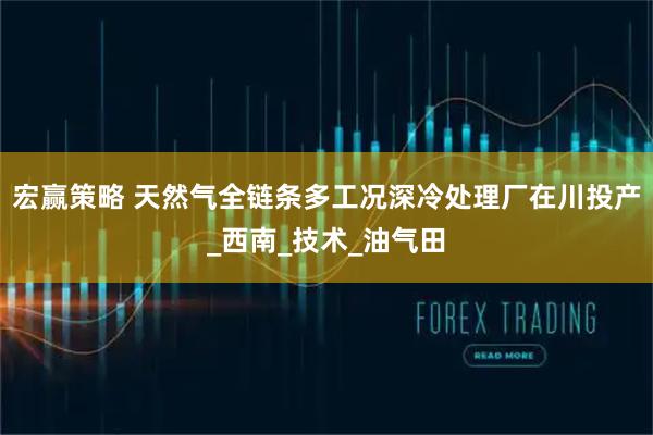宏赢策略 天然气全链条多工况深冷处理厂在川投产_西南_技术_油气田