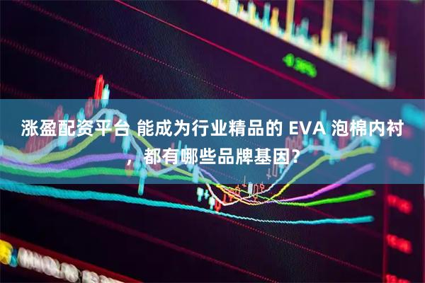 涨盈配资平台 能成为行业精品的 EVA 泡棉内衬，都有哪些品牌基因？